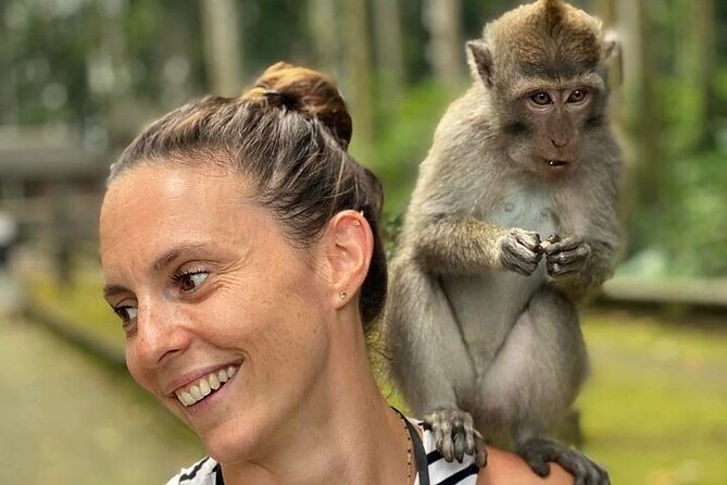 UBUD Private Tour – Rice Terrace, Jungle Swing & Hidden Waterfall - Taman Sari Waterfall and Natural Pool: The Spot for Tranquility