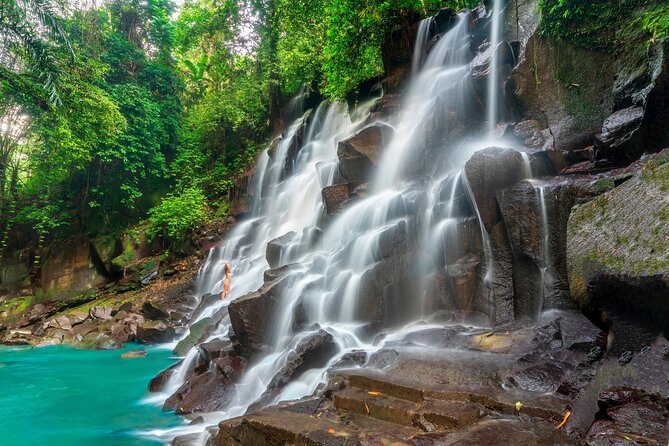 Ubud Private Tour: Waterfalls, Temple and Rice Terraces Swing - Pemulan Bali Coffee Plantation: Tea, Coffee, and a Human-Scale Stop