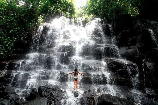 Ubud Private Tour: Waterfalls, Temple and Rice Terraces Swing - Price and Value: Why $24.82 Can Feel Fair, But Upgrade Carefully