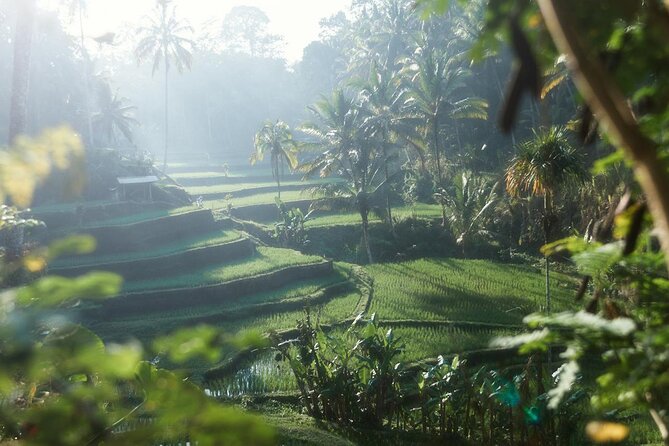 Ubud Private Tour - Waterfalls, Water Temple & Rice Terraces - Stop 2: Kanto Lampo Waterfall in a Canyon Photo Zone