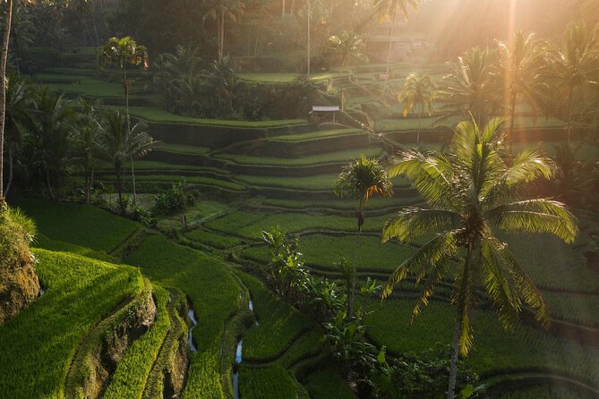 Ubud Private Tour - Waterfalls, Water Temple & Rice Terraces - Stop 3: Tukad Cepung Waterfall and the Cave Light Rays