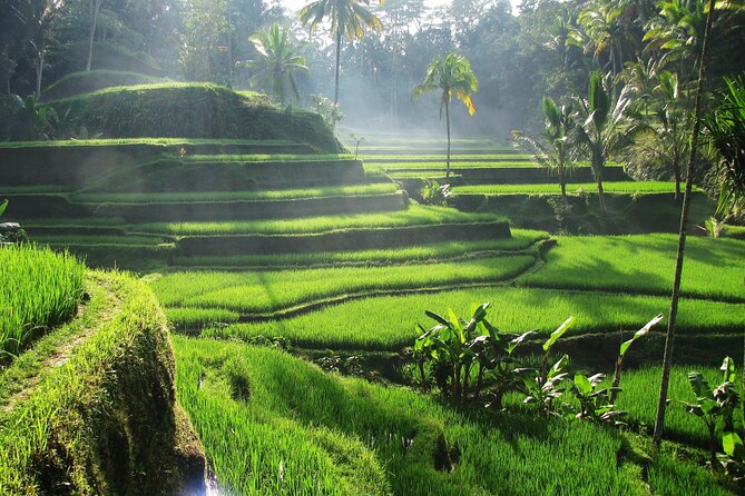 Ubud Private Tour - Waterfalls, Water Temple & Rice Terraces - Lunch at Sari Timbul by Kubu Bali: A Real Break in the Middle