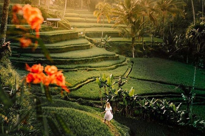 Ubud Private Tour - Waterfalls, Water Temple & Rice Terraces - Tirta Empul Temple: The Purification Ritual Step-by-Step