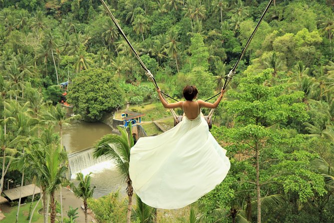 Ubud Private Tours with Jungle Swing Experience - all inclusive - Sangeh Monkey Forest: A Tropical Break That Is More Than a Photo Stop