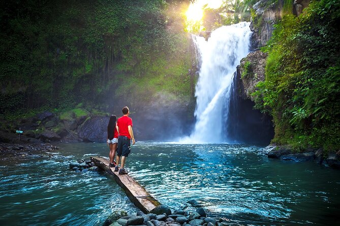 Ubud Private Tours with Jungle Swing Experience - all inclusive - What Is Included, What Costs Extra, and Why That Matters