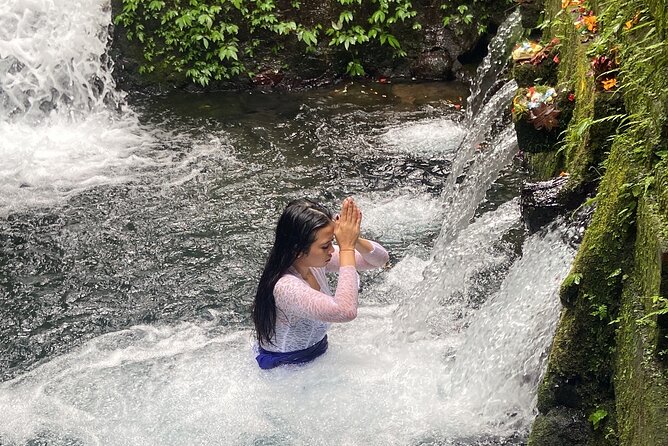 Ubud Shamanic Healing and Purification Ceremony - Timing and logistics: a calm start with round-trip transport