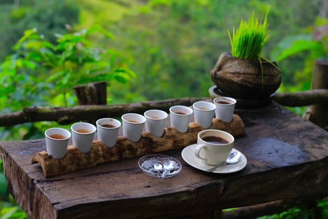 Ubud Sightseeing, Holy Water Temple & Waterfall - Stop 3: Tirta Empul Temple and the feeling of a ritual water temple