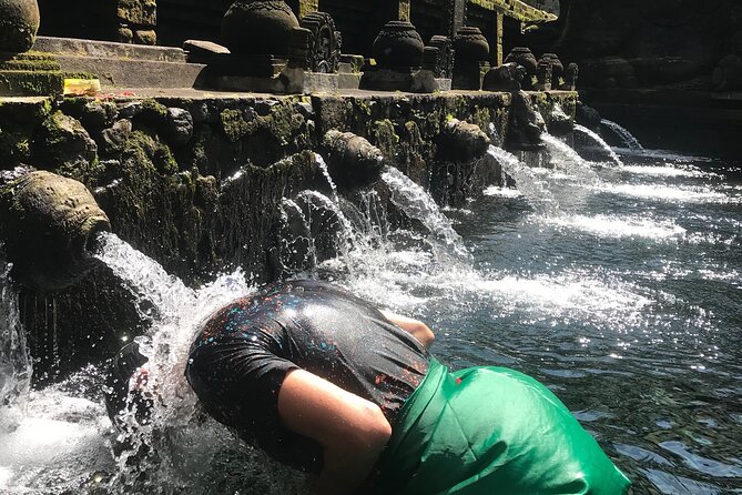 Ubud Sightseeing, Holy Water Temple & Waterfall - Stop 5: Tegalalang Rice Terrace, classic scenery with photo options