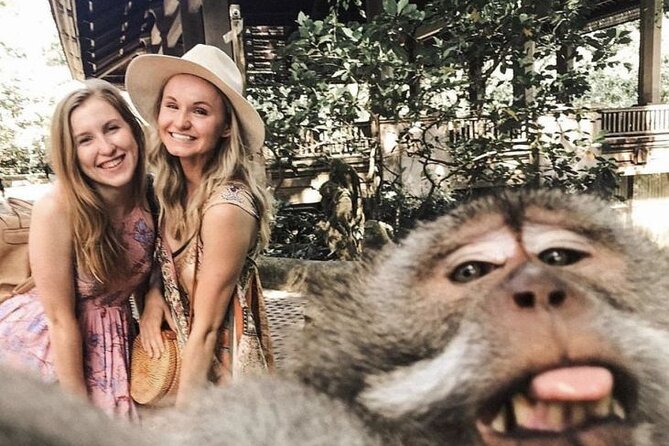 Ubud Skip the line Monkey Forest Sanctuary Ticket and Guided Tour - The sacred entry walk: cave-like entrance, Dragon Bridges, and banyan shade