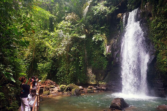 UBUD Spring Temple, Waterfall, Rice Terraces Private Tour - Sacred Monkey Forest Sanctuary to start, then head straight into scenery