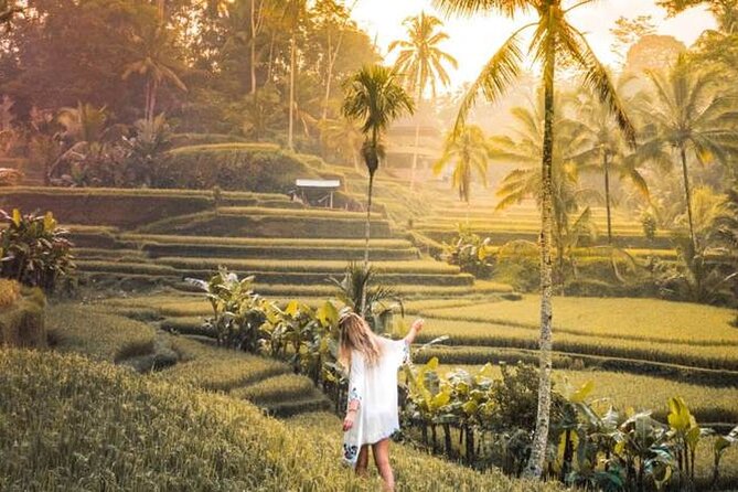 UBUD Spring Temple, Waterfall, Rice Terraces Private Tour - Tirta Empul Temple: where the cleansing ceremony fits the day