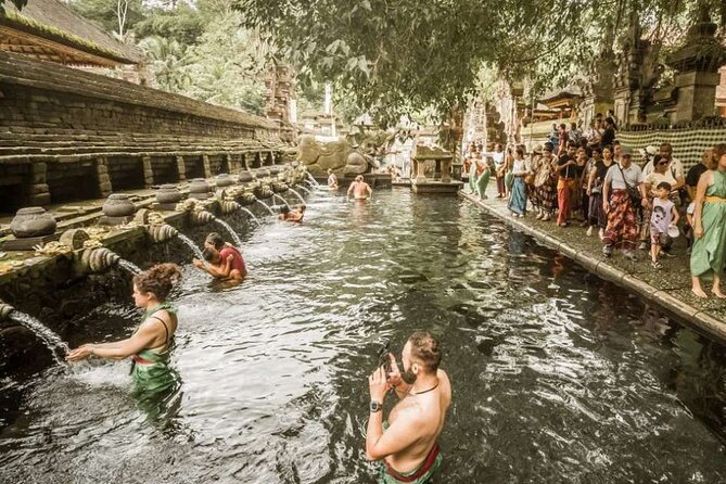 UBUD Spring Temple, Waterfall, Rice Terraces Private Tour - Price and value for $129.99 per person