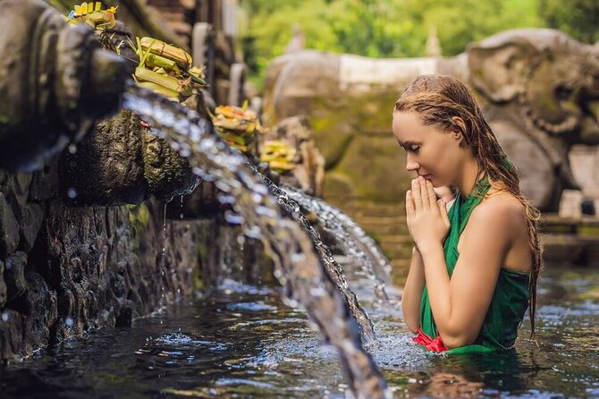 UBUD Spring Temple, Waterfall, Rice Terraces Private Tour - Tegalalang Rice Terraces: the classic view, with a realistic time block