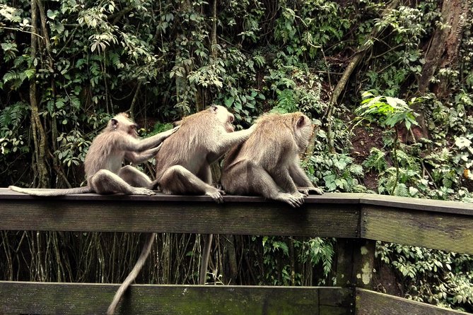 Ubud Surounding Tour - Stop 5: Kanto Lampo Waterfall, Swimming, and Photos