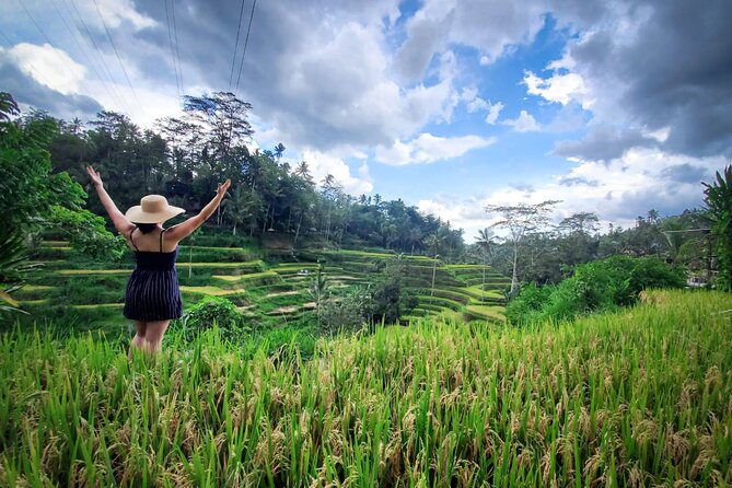 UBUD : Temple and Waterfall All Inclusive Day Tour - Stop 3, Tegalalang Rice Terrace: subak irrigation made understandable