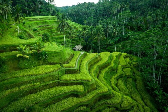 UBUD : Temple and Waterfall All Inclusive Day Tour - Price and value: what $28 actually covers