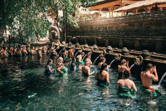 Ubud Tirta Empul Temple Tour with Purification Experience - Meeting at Ubud Palace, timing at 7:30, and what your guide will do for you