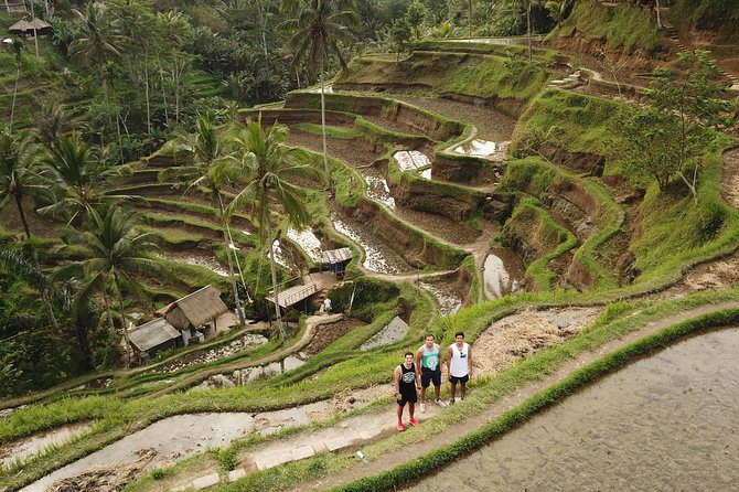 Ubud Top Attractions: Waterfalls, Temples and Rice Terraces - Stop 2: Tibumana Waterfall, stairs, and a real swim option
