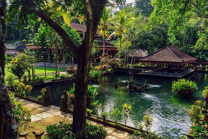 Ubud Top Attractions: Waterfalls, Temples and Rice Terraces - Stop 5: Tegalalang Rice Terrace and a short farmer-style walk
