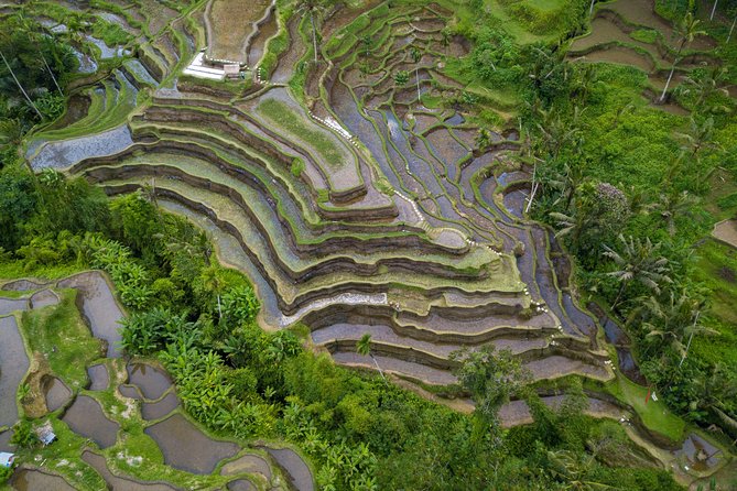 Ubud Top Attractions: Waterfalls, Temples and Rice Terraces - Lunch at D’Alas Warung: jungle setting with a valley view