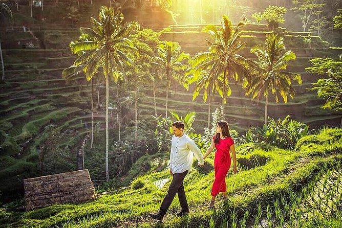 Ubud Tour : Best of Ubud with All inclusive - Why This Private Ubud Day Works Better Than DIY