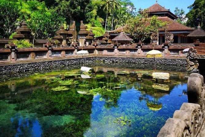 Ubud Tour : Best of Ubud with All inclusive - Who This Tour Suits Best (And Who Might Prefer Something Else)