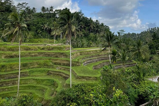 Ubud Tour - Highlight of Ubud - Traditional Tour - Stop 1: Puseh Batuan Temple, a respectful start to the day