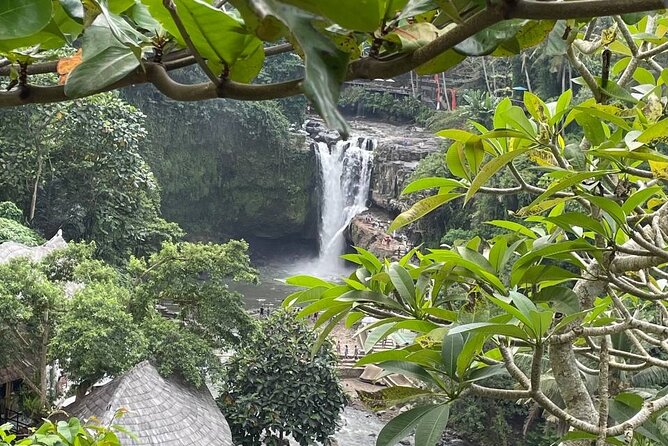 Ubud Tour - Highlight of Ubud - Traditional Tour - Stop 4: Tegalalang Rice Terrace, the Ubud view people talk about