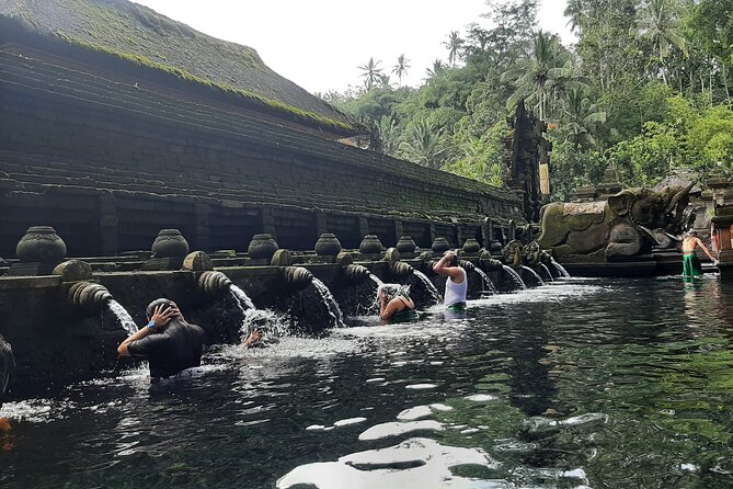 Ubud Tour - Highlights of Ubud - A One-Day Ubud Hit List, Without the Driving Headaches