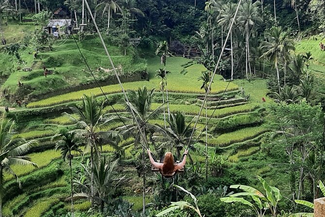 Ubud Tour - Highlights of Ubud - Lunch at D Alas Warung: Local Food With Jungle and Rice Views