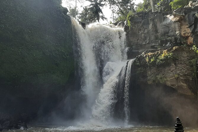 Ubud Tour - Highlights of Ubud - Price and Logistics: What Your $100 Covers (and Why It Can Be Good Value)