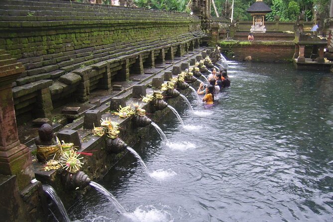 Ubud Tour : Monkey forest, Rice terrace, Water temple, Waterfall & Jungle Swing - Why this Ubud tour feels smoother than DIY