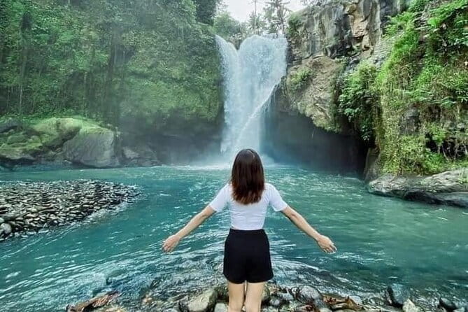 Ubud Tour Water Temple with Jungle Swing - Sacred Monkey Forest Sanctuary: 1,260 macaques and practical etiquette