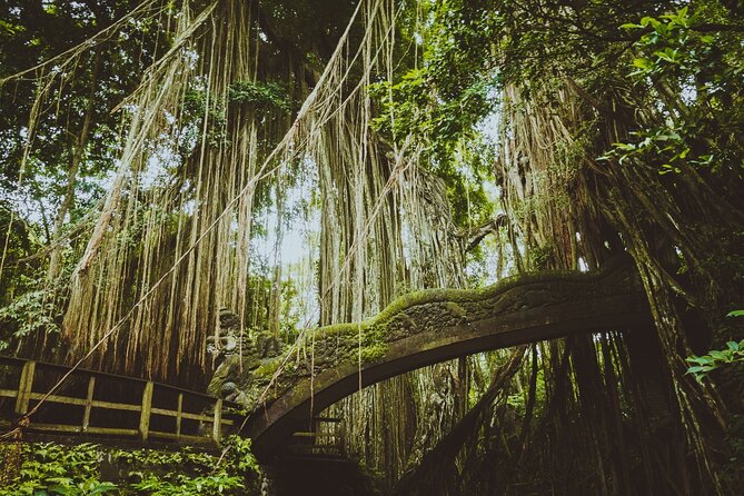 Ubud Tour Waterfall Rice Terrace Temple and Art Village - Stop 3: Tegalalang Rice Terrace and the Subak irrigation story