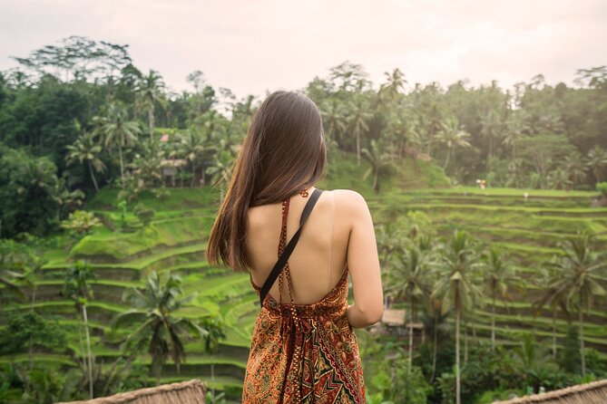 Ubud Tour Waterfall Rice Terrace Temple and Art Village - Art Village stop: a cultural add-on you should budget time and fees for