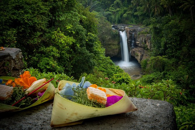 Ubud Tour with Swing, Temple, Monkey Forest, and Waterfall - The tea and coffee lesson that fits naturally into Ubud