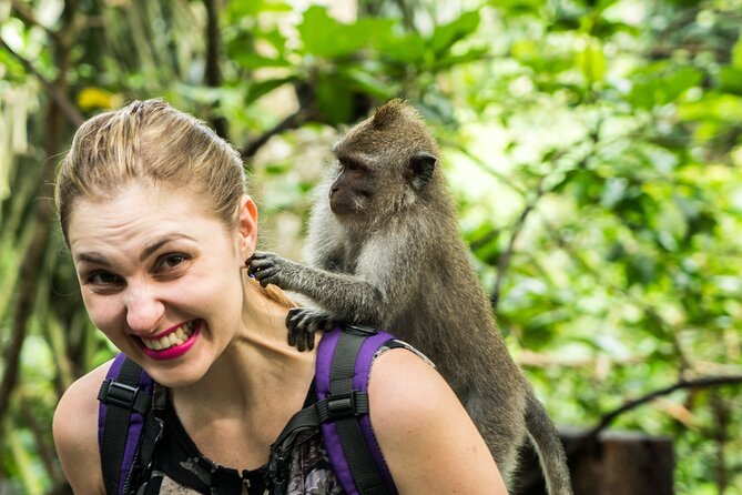 Ubud Tour with Swing, Temple, Monkey Forest, and Waterfall - Sacred Monkey Forest Sanctuary, where temples and macaques share the same space