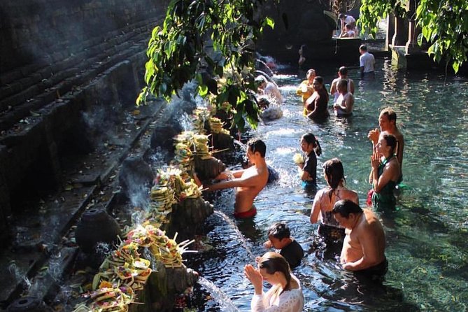 Ubud Trip, The Best of Ubud in a day - All Inclusive - Tegalalang rice terraces: why this stop is on almost every Ubud route