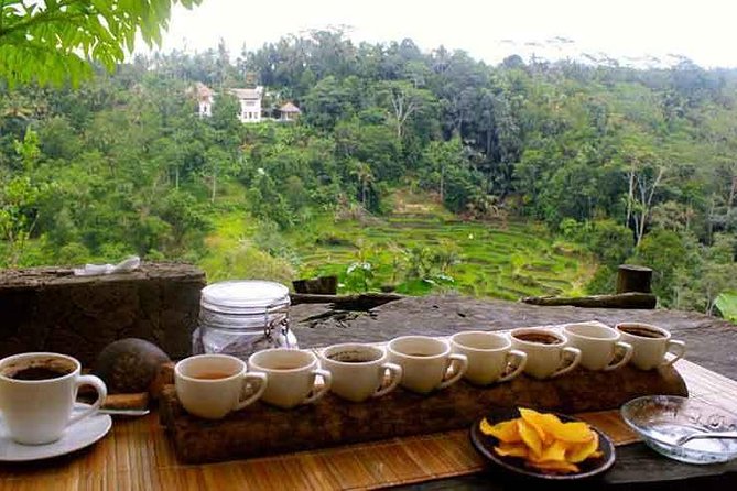 Ubud Trip, The Best of Ubud in a day - All Inclusive - Celuk Village: silver and gold jewelry making up close