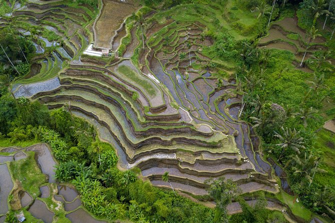 Ubud Volcano Lake and Natural Hot Spring Tour - Mount Batur and lunch with lake views: eating while the scenery does the work