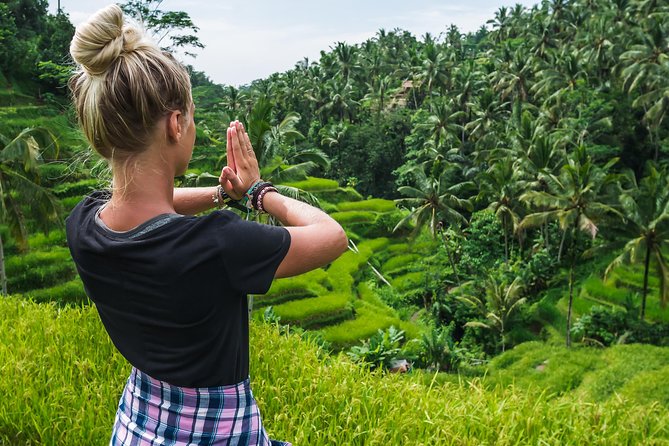 Ubud Volcano Lake and Natural Hot Spring Tour - Tegalalang Rice Terrace: your first big view and photo-friendly time