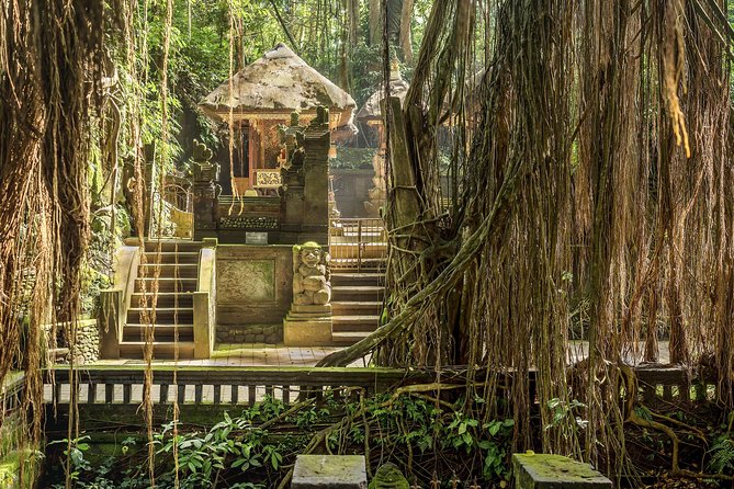 Ubud: Waterfall, Rice Terraces, and Monkey Forest Private Tour - Price and Value: What $65 Actually Buys You in Ubud
