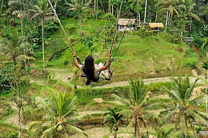 Ubud Waterfall Swing And Spring Temple Private Guided Tour - Tegalalang Rice Terrace: photos plus walking time