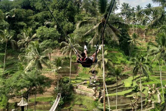 Ubud Waterfall Swing And Spring Temple Private Guided Tour - Price and value: what $25 really means