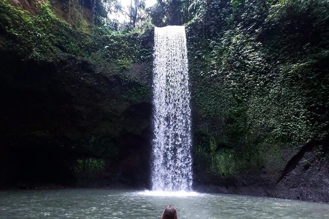 Ubud Waterfalls, Rice Terrace & Jungle Swing - Private Tour - Key highlights