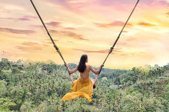 Ubud Waterfalls, Rice Terrace & Jungle Swing - Private Tour - The Jungle Swing Option: What You Get for Paying Extra