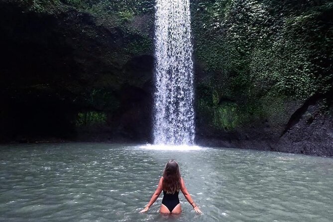 Ubud Waterfalls, Temple and Rice Terrace - Private Tour - Key highlights you will care about