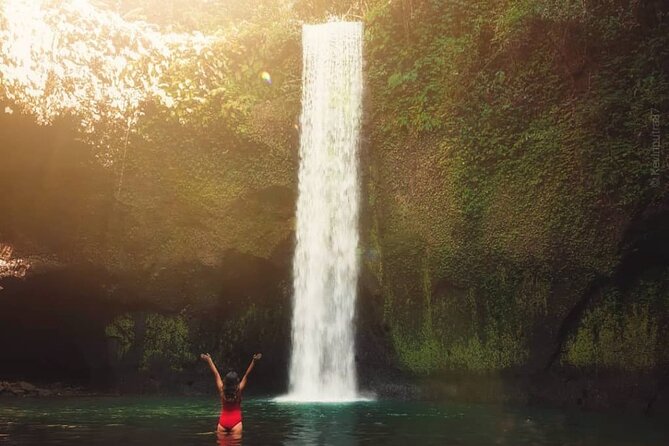 Ubud Waterfalls, Temple and Rice Terrace - Private Tour - The flow of a 10-hour Ubud day (and how to pace yourself)