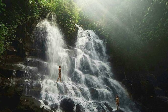 Ubud Waterfalls, Temple and Rice Terrace - Private Tour - Pickup, mobile ticket, and included entry fees (why the logistics matter)