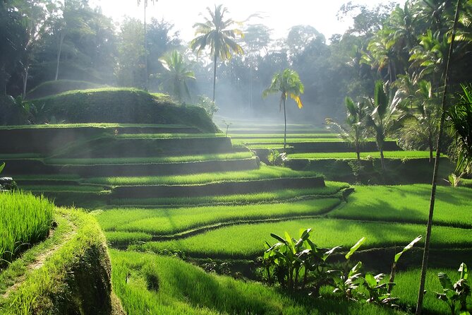 Ubud: Waterfalls, Water Temple & Rice Terraces Private Tour - Tirta Empul Temple: holy spring purification and sarong time